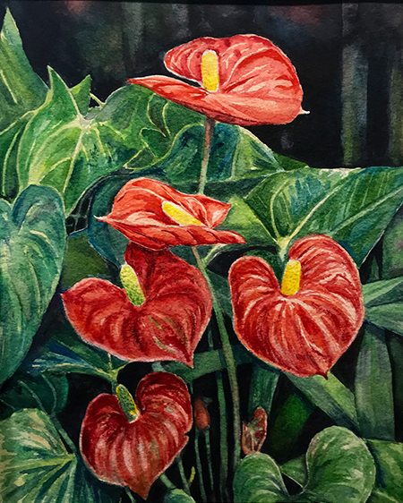 Anthurium