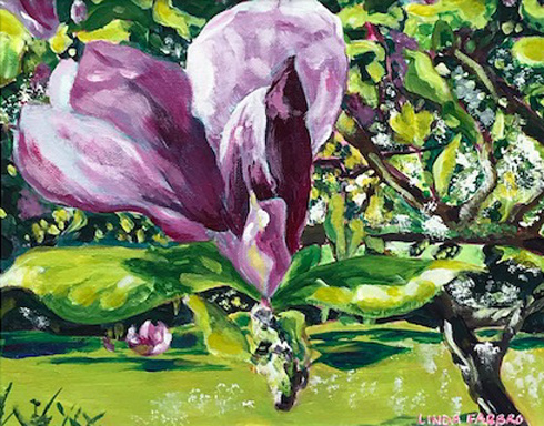 Beautiful Magnolia
